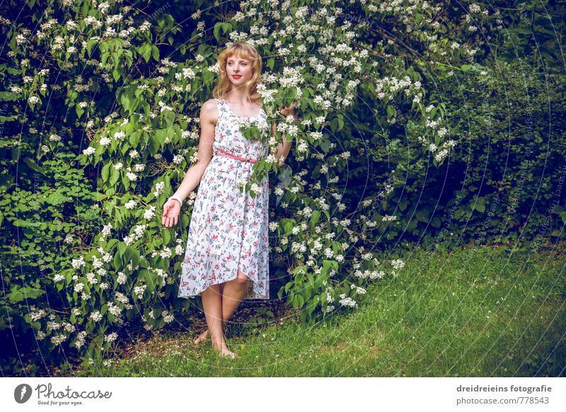 White flowers & you Feminine Young woman Youth (Young adults) 1 Human being Nature Plant Bushes Blossom Foliage plant Wild plant Garden Dress Blonde Long-haired