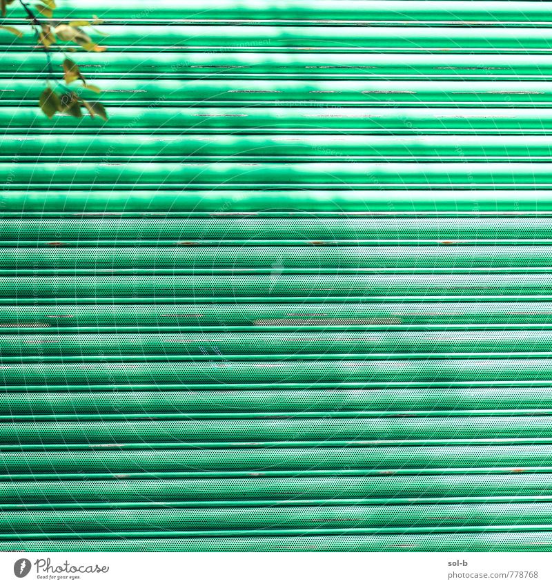 top left Harmonious Summer Living or residing Nature Beautiful weather Tree Leaf Gate Metal Esthetic Simple Bright Green Corner Line Closed Summery Barrier gate