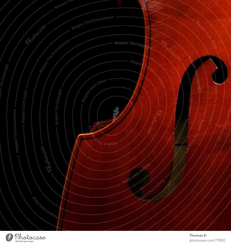 The F-Hole Double bass Sound Wood Dark Playing Listening Red Brown Black Concert Resonance Violet plants Orchestra Jazz Blues Swing Music Feedback Song Sing