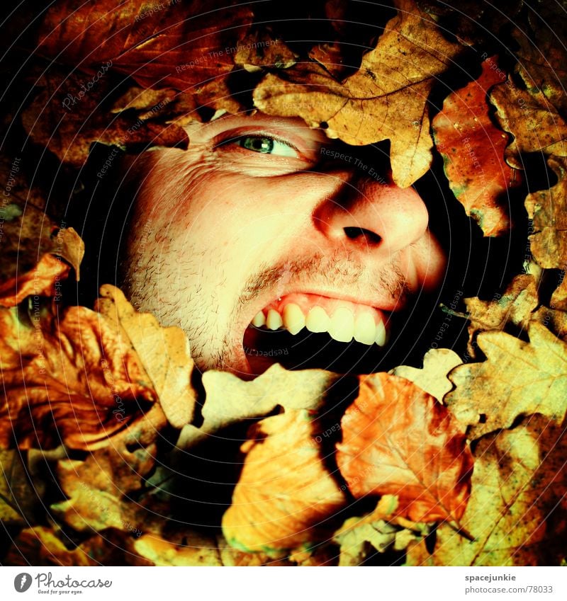 An Autumn Writing Picture Leaf Scream Man Bury Captured Freak Autumn leaves Seasons Old Face Fear Nature Like