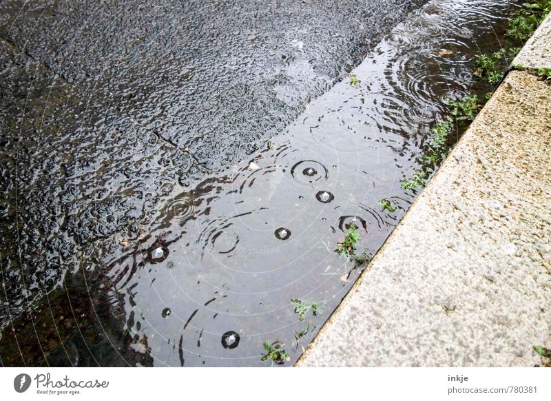 summer rain Environment Water Spring Summer Climate Weather Bad weather Rain Puddle Deserted Street Curbstone Roadside Asphalt Curbside Circle Dripping Bubble