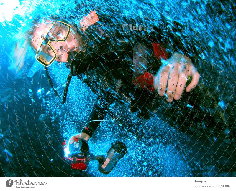 Blubber Diver Water Air Egypt Ocean Dahab Blue divergent diving blue water puffy bubbles red sea