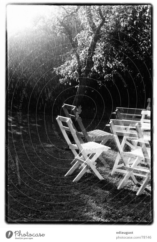 o.t. Garden chair Tree Light Back-light Dream Moody Black & white photo Rain Sun Summer