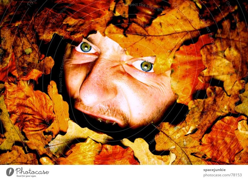 An autumnal writing picture (3) Autumn Leaf Scream Man Bury Captured Freak Autumn leaves Seasons Old Face Fear Nature Like