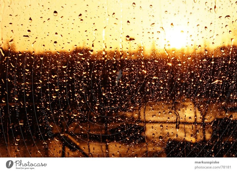 it's raining cats and dogs Sunset Window Rain Weather Window pane Glass Drops of water Water