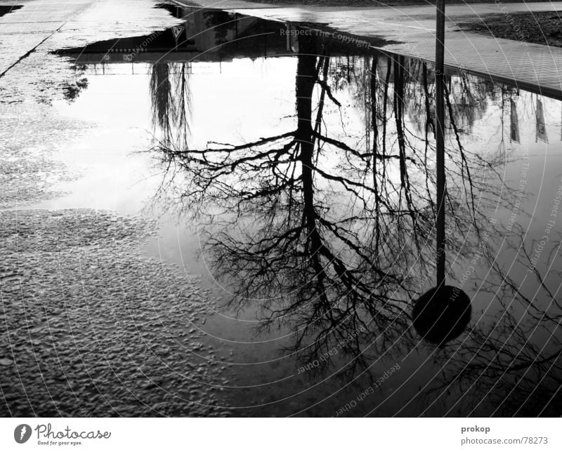 Passage = broken Autumn Puddle Street sign Reflection Sidewalk Black White Calm