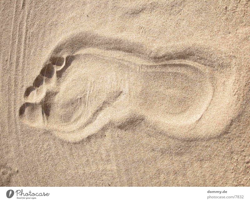 traces in the sand... Footprint Tracks Things Sand kaz Barefoot