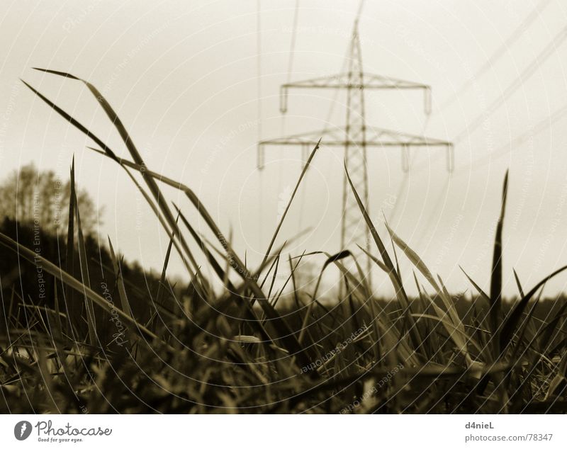 green electricity Electricity High-power current Meadow Grass Autumn Calm Hope Electrical equipment Electricity pylon Electronic Industry Black & white photo