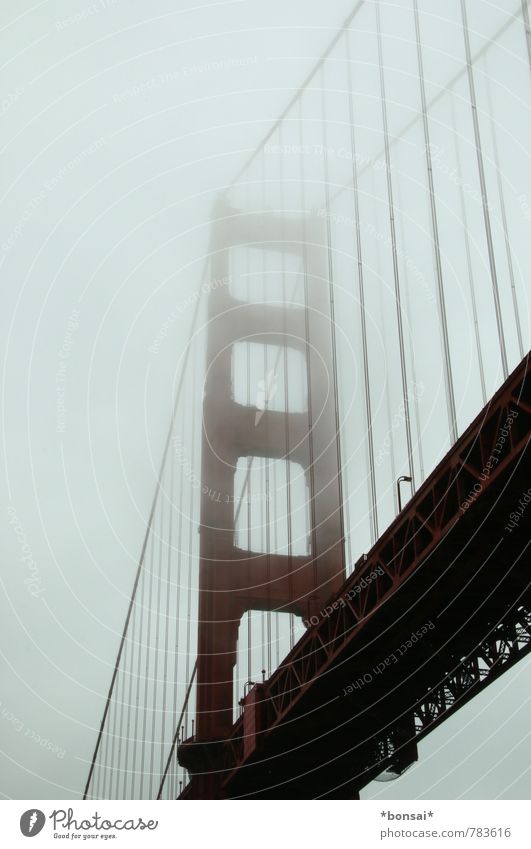 golden gate I Golden Gate Bridge San Francisco San Francisco bay USA Americas Street Transport Suspension bridge California Landmark Fog Manmade structures