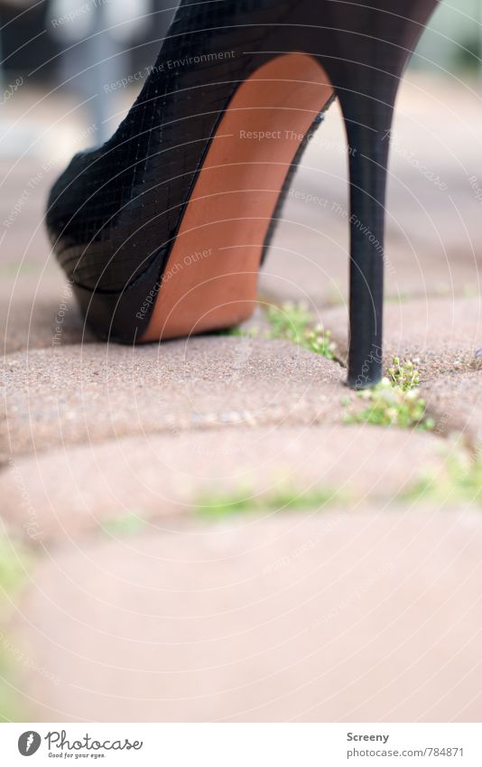 Walk this way... Lanes & trails Paving stone Footwear High heels Stand Elegant Brown Black Self-confident Fashion Tall Colour photo Close-up Detail