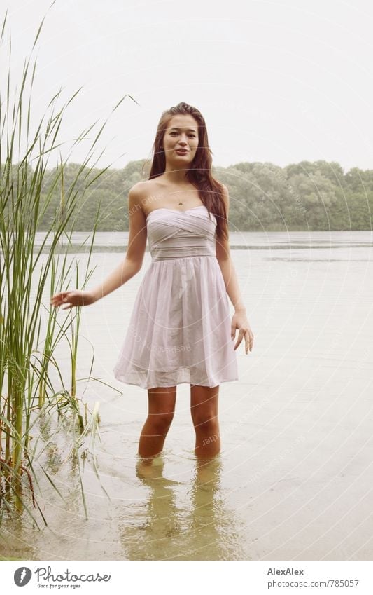 In the lake Swimming & Bathing Trip Adventure Young woman Youth (Young adults) 18 - 30 years Adults Nature Water Summer Rain Common Reed Lake Dress Barefoot