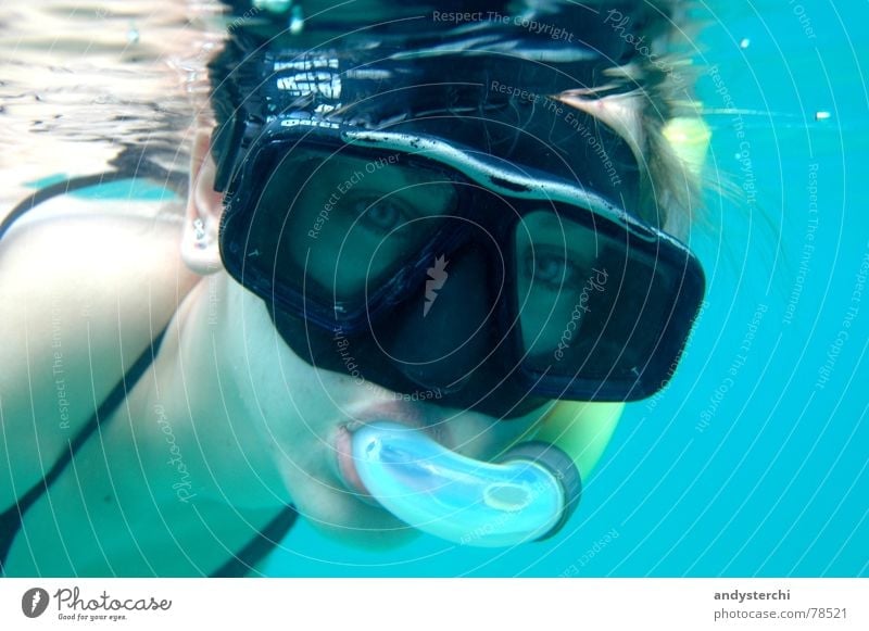 Searching for Nemo Dive Snorkeling Indian Ocean Maldives Atoll Lagoon Diving goggles Lake Portrait photograph Diver Summer Aquatics Swimming & Bathing kuredu
