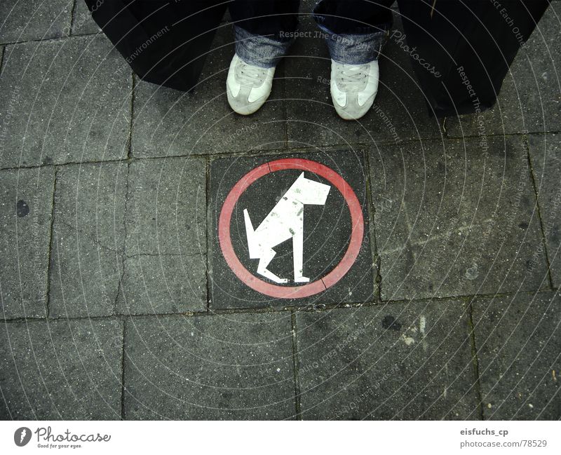 Poor dog! Sidewalk Bans Regulation Belgium Interesting Understanding Modern art Regular Signage Netherlands Dog Town In transit Middle Leisure and hobbies