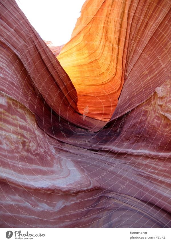 The Wave I Life Calm Sun Waves Mountain Warmth Canyon River Lanes & trails Stone Line Yellow Orange Red Colour Old Paria Sandstone Flow Mystic Whirlpool Physics
