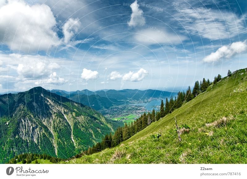 Tegernsee Tourism Trip Hiking Environment Nature Landscape Sky Clouds Summer Beautiful weather Tree Alps Mountain Lake Tall Blue Green Serene Calm Relaxation