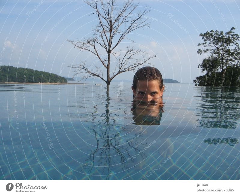 see the sea Thailand Swimming pool Tree Reflection Vacation & Travel Ocean underwater Surrealism Blue Water Tile Underwater photo vacation tiles