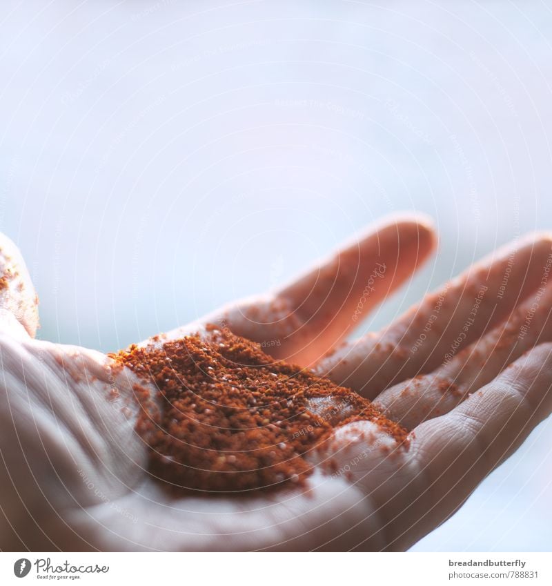 pinch of chili Food Herbs and spices Nutrition Tangy Hand Simple Delicious Many Red Spicy Chili Colour photo Interior shot Copy Space top Shallow depth of field