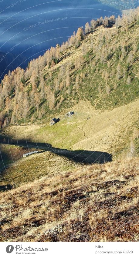 silence in autumn ... a place of rest Autumn Larch Fog Calm Grass Forest Mountain Contentment Shadow Hut long shadows grubech Pasture Mulde