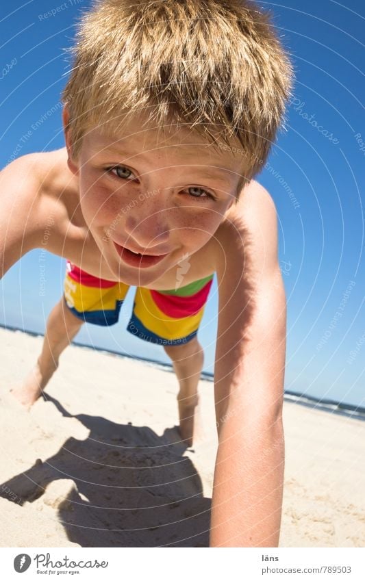 happy boy on the beach Contentment Leisure and hobbies Playing Vacation & Travel Summer Summer vacation Beach Ocean Child Boy (child) Infancy Life Head Arm 1