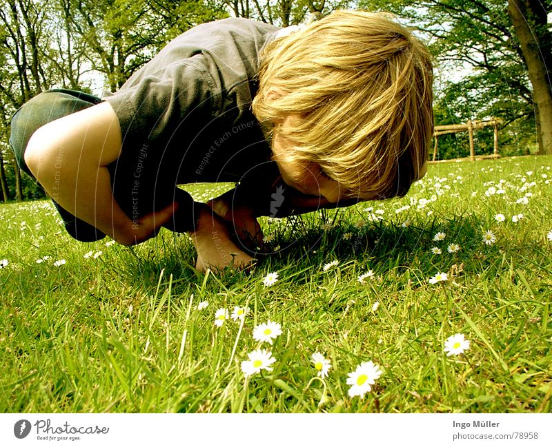 sporty, sporty Meadow Flower Green Summer Spring Child Boy (child)
