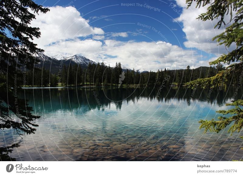 Lac Beauvert Nature Landscape Plant Water Sky Summer Beautiful weather Forest Snowcapped peak Lake Moody Calm Relaxation Vacation & Travel Freedom Peace