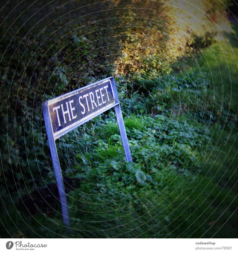keep it simple England Street sign Suffolk the street sunshine monetary road road sign address grass strip