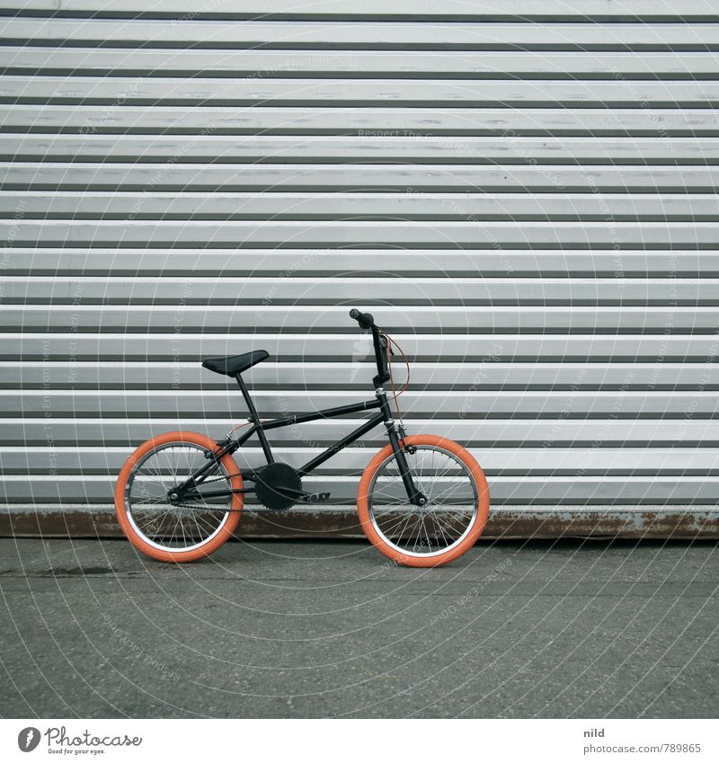 B M X Lifestyle Style Design Leisure and hobbies Adventure Freedom Sports Cycling BMX bike Wall (barrier) Wall (building) Transport Means of transport Bicycle