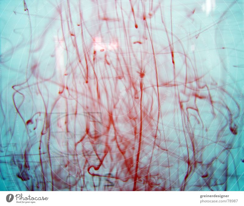 streaks Blood Blood smear Red Blur Colour Macro (Extreme close-up) Close-up Obscure water pollution Fluid Blue Water Dirty Melt away Deserted Mix Go under