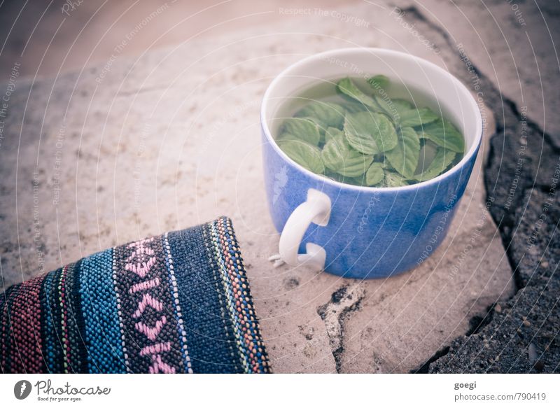 mint tea Tea Cup Relaxation Drinking Fragrance Fluid Fresh Blue Multicoloured Green Contentment To enjoy Wall (barrier) Blanket Colour photo Exterior shot