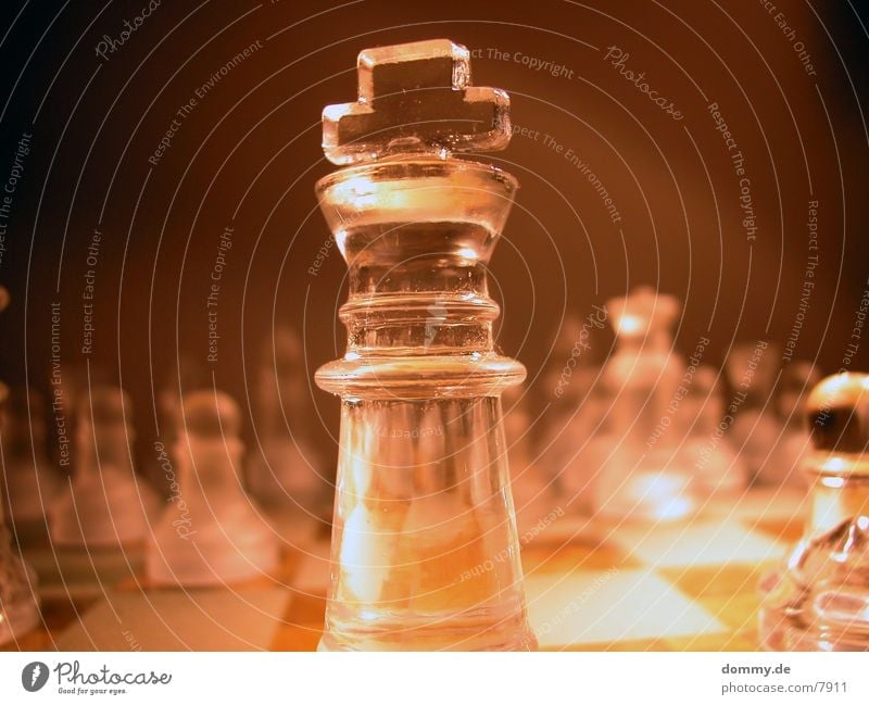 ChessMATT Leisure and hobbies King Chessboard Wooden board Dull kaz Chess piece