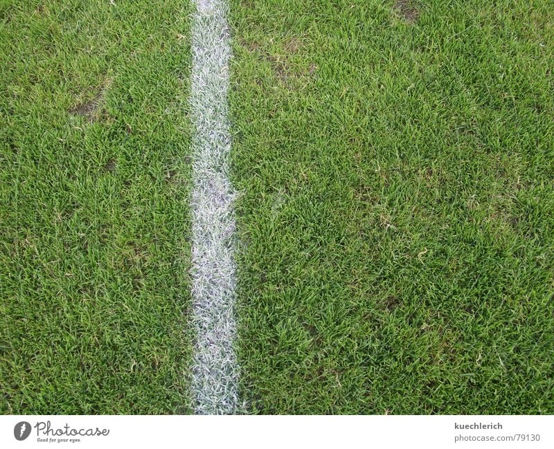 A line marks the edge of the playing field Baseline Grass Green Line Green space Stripe Field Sports Center line Grass surface Sporting grounds Football pitch