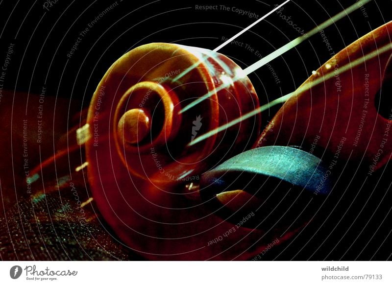snail Violin Ebony Wood Musical instrument string Concert Art Culture Macro (Extreme close-up) Close-up Snail