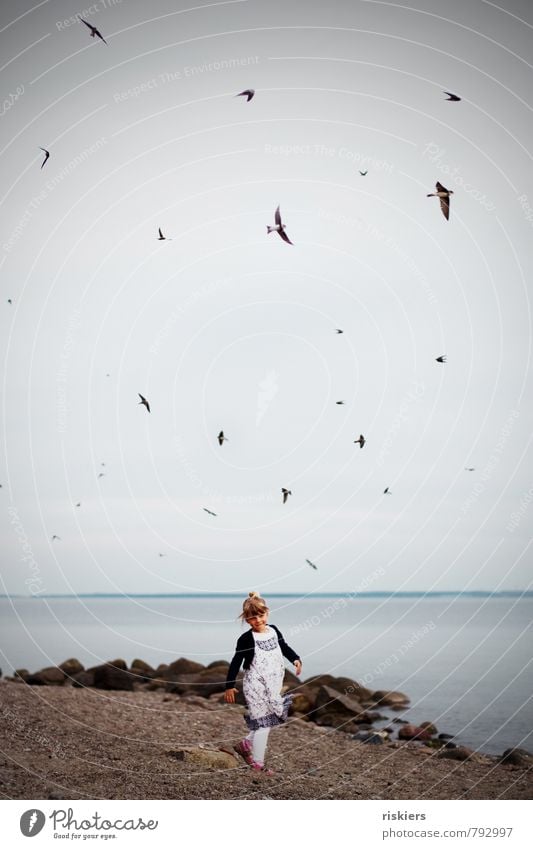 the girl with the swallows Human being Feminine Child Girl Infancy Life 1 3 - 8 years Environment Nature Landscape Water Sky Summer Beautiful weather Coast