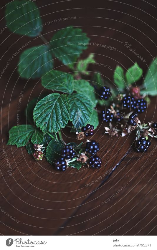 small wild Food Fruit Blackberry Nutrition Organic produce Vegetarian diet Plant Leaf Agricultural crop Wild plant Esthetic Fresh Healthy Natural Wooden table