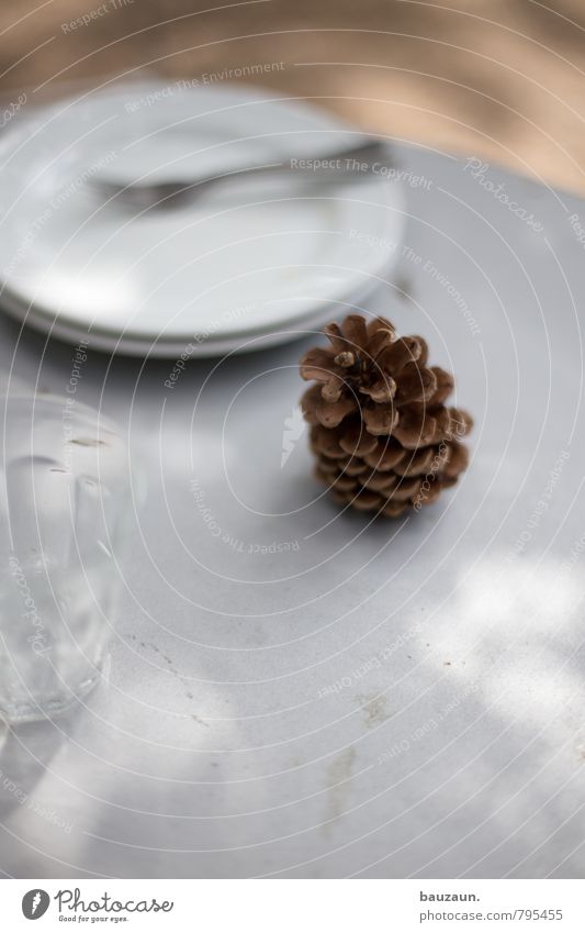 clean up. Nutrition To have a coffee Crockery Plate Glass Fork Trip Garden Beautiful weather Cone Wood Brown White Living or residing Colour photo