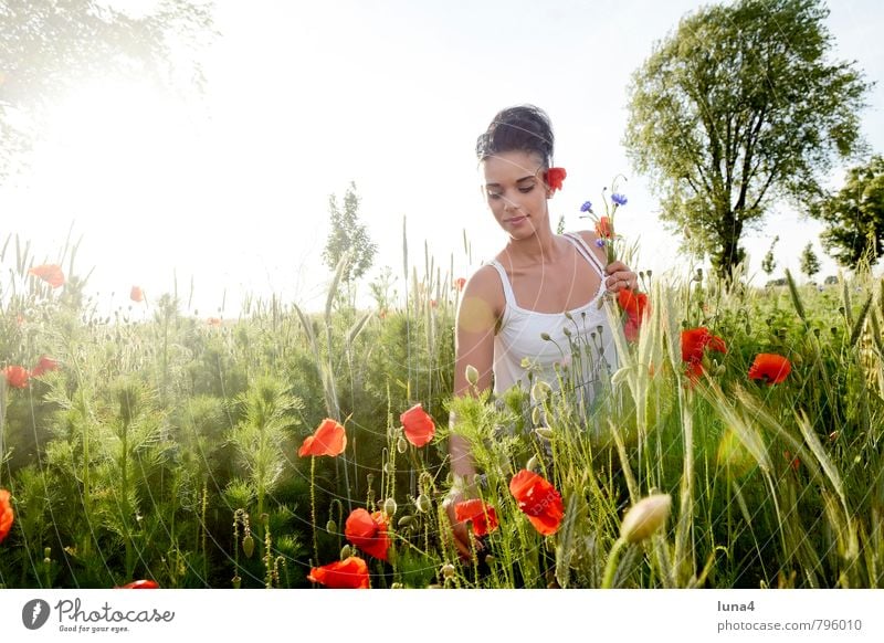 poppy Summer Feminine Young woman Youth (Young adults) Woman Adults 1 Human being 18 - 30 years Nature Spring Flower Blossom Meadow Bouquet Green Red