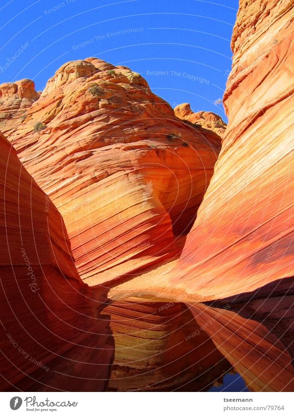 The Wave II Canyon Sandstone Waves Yellow Red Old Paria Stone Minerals Earth USA Orange Marble Structures and shapes Water String millions slot reflection