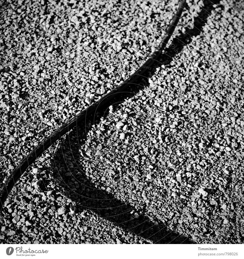 Jumping At Shadows II Cable Stone Sand Lie Dark Simple Firm Gray Black Emotions Black & white photo Contrast Exterior shot Deserted Day