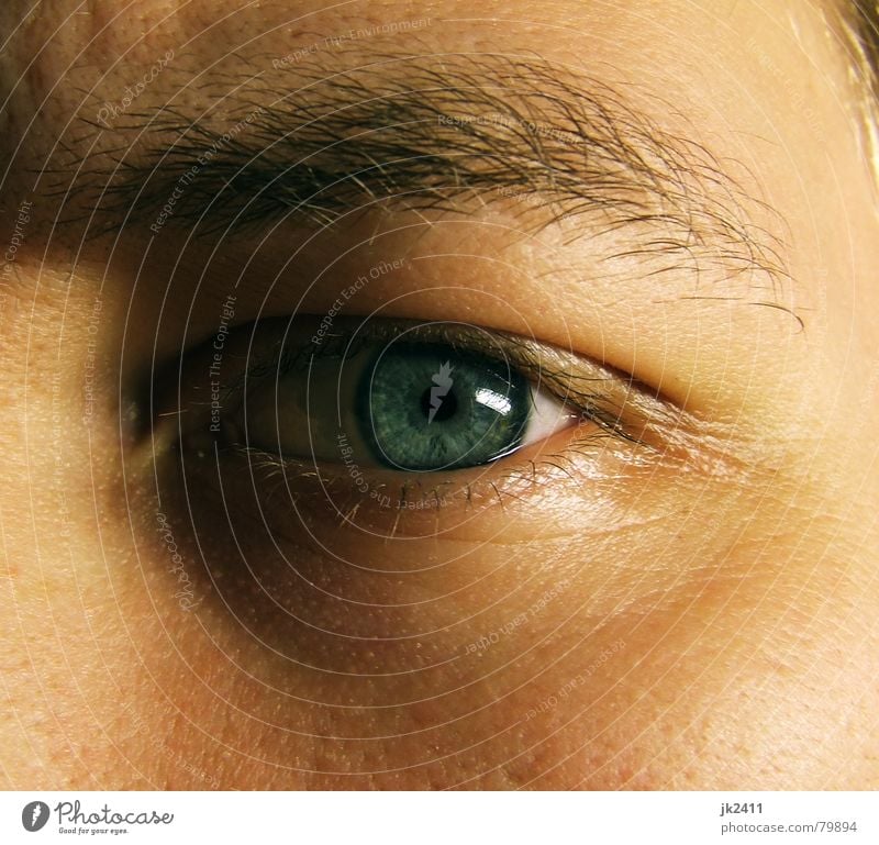 Moment 1 Face Eyes Near Blue Eye colour Eyelash Eyebrow Iris Pupil Close-up Pore Detail Macro (Extreme close-up) Looking