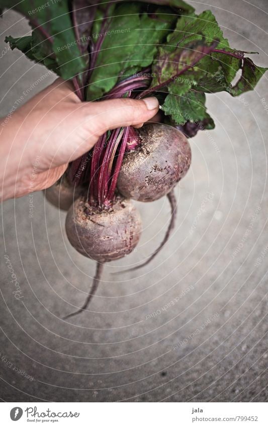 beetroot Food Vegetable Red beet Nutrition Organic produce Vegetarian diet Healthy Eating Feminine Hand To hold on Simple Fresh Good Delicious Natural