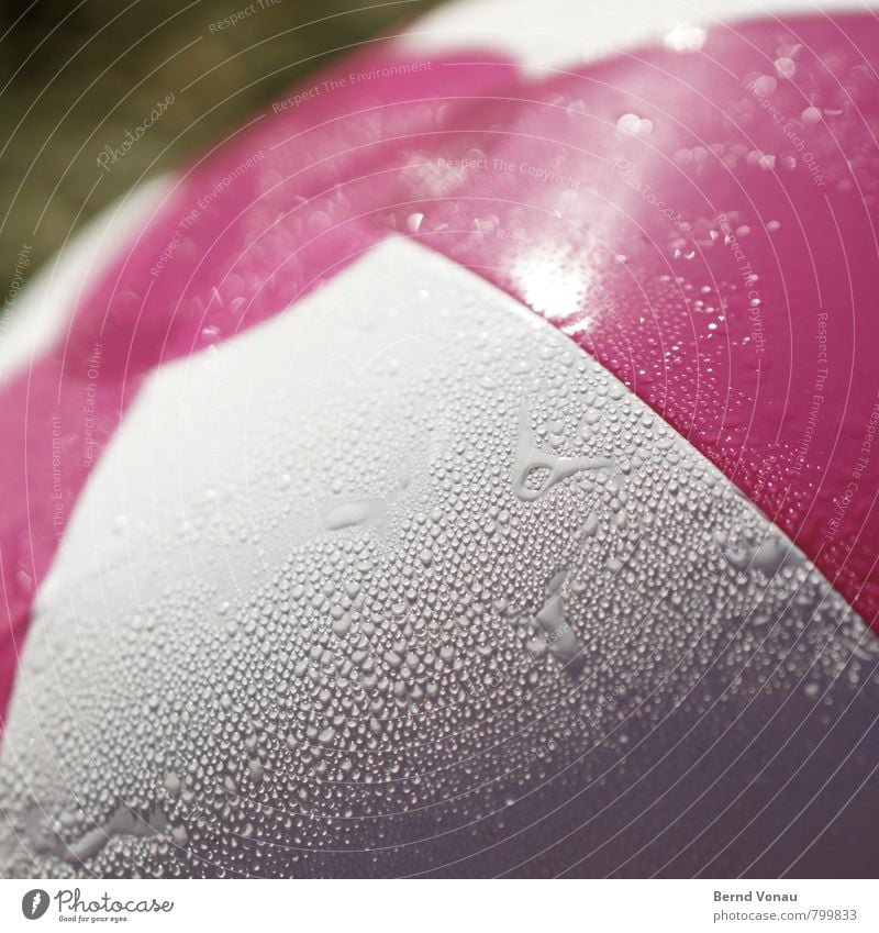 ball Ball Swimming & Bathing Playing Sports Pink Water polo Inflatable Drops of water dripping wet Wet Circle Contrast White Grass Summery Leisure and hobbies