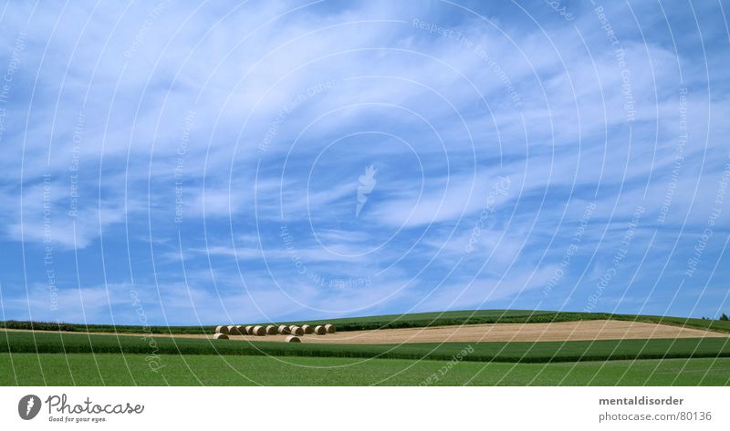 wind & clouds Pitchfork Flash in the pan Freedom Clouds Air Celestial bodies and the universe Tree Grass Agriculture Breathe Tree trunk Pasture Grass surface