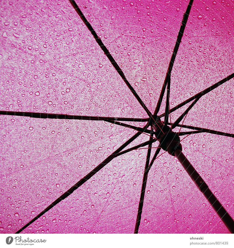 summer holidays Water Drops of water Bad weather Rain Umbrella Line Pink Protection Colour photo Multicoloured Exterior shot Day Deep depth of field