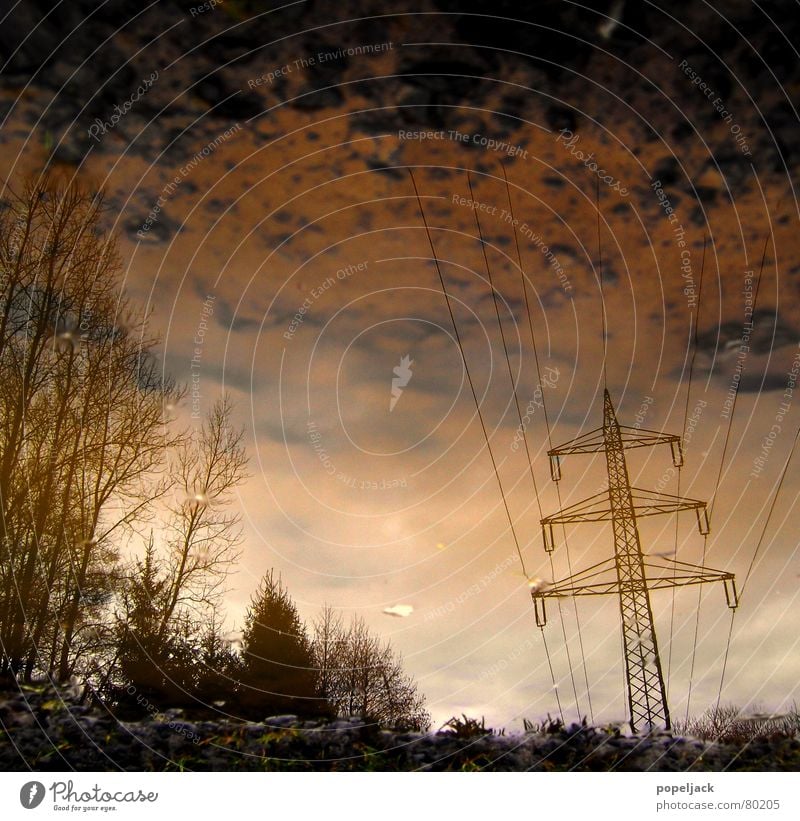 crumbly Electricity Winter Puddle Wet Grass Reflection Mirror Tree Green Sky Paradise Power failure Meadow Green space High voltage power line Energy industry