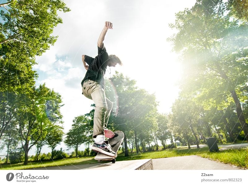 Flip it Lifestyle Elegant Style Summer Skateboarding Funsport Young man Youth (Young adults) 18 - 30 years Adults Sky Clouds Beautiful weather Tree Bushes