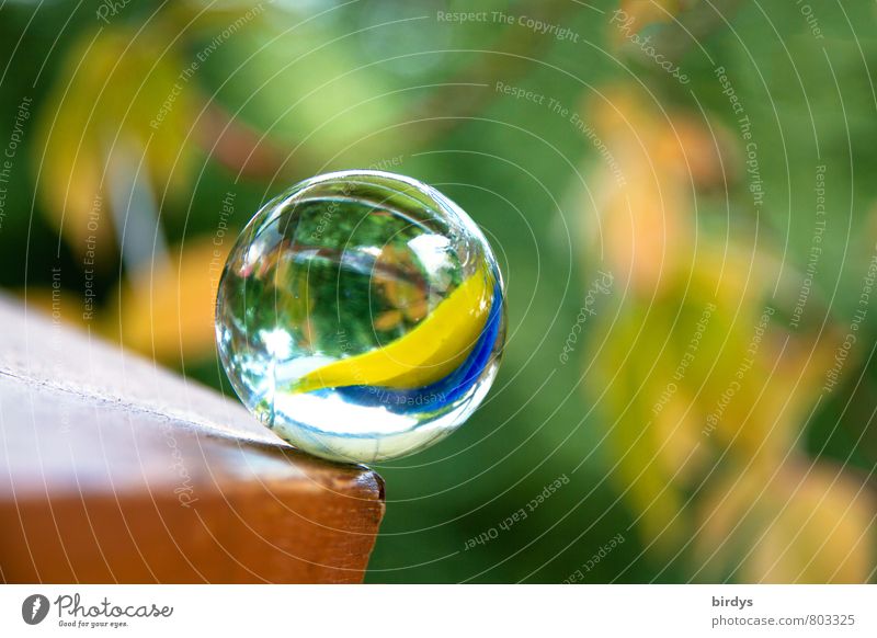 Marble in danger Glass ball Rotate Glittering Esthetic Friendliness Positive Round Multicoloured Beautiful Hope Contentment Gravity Risk of collapse Edge Tilt