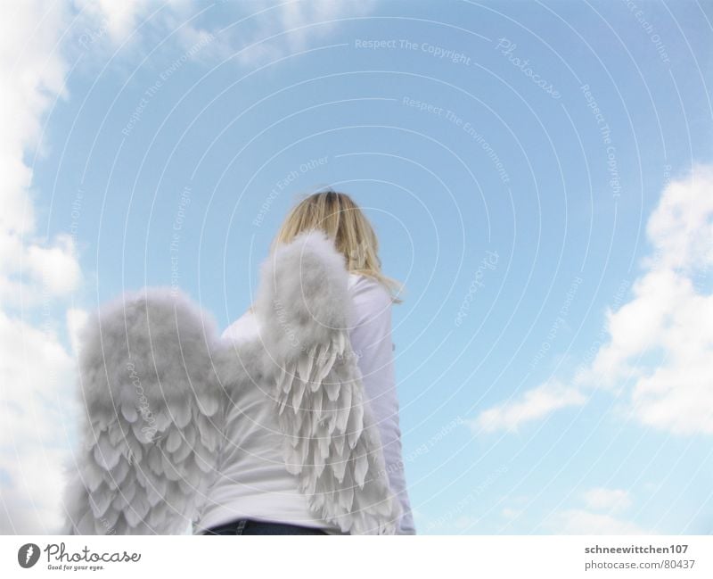 sky on earth 2 Responsibility Clouds Protection Span Guard Angel Peace Bird's-eye view Wing Flying Blue Human being Sky throne heaven messenger of God in charge