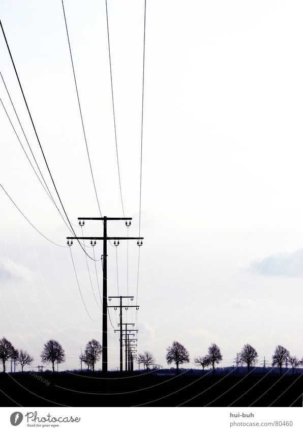 Black Environmental Power Way Silhouette Electricity Tree Gloomy Horizon Painting and drawing (object) Iron Provision Symmetry Transmission lines Shadow Sky