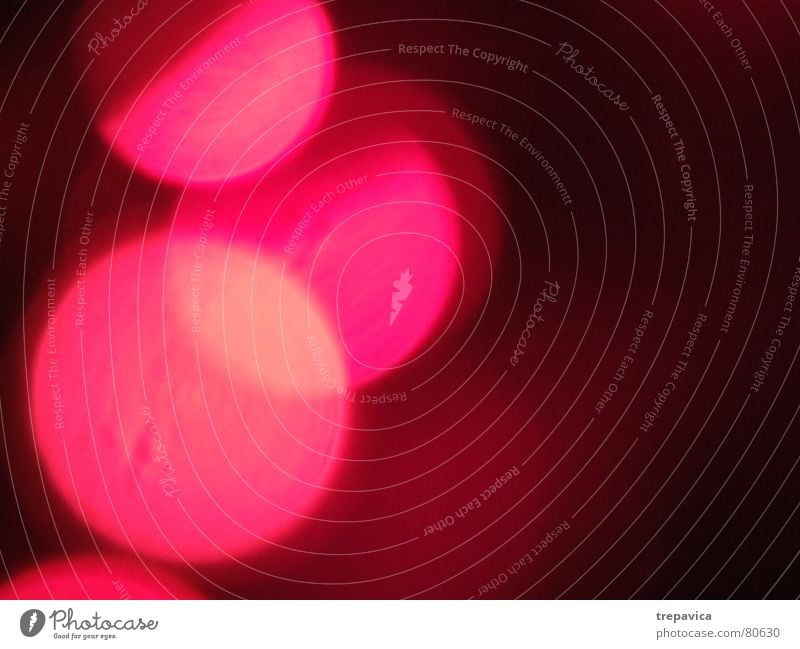 PINk Light Blur Black Point of light Red Magenta 3 Lamp Dark Night Visual spectacle Pink Colour Reflection Light (Natural Phenomenon) Flare Lighting Bright