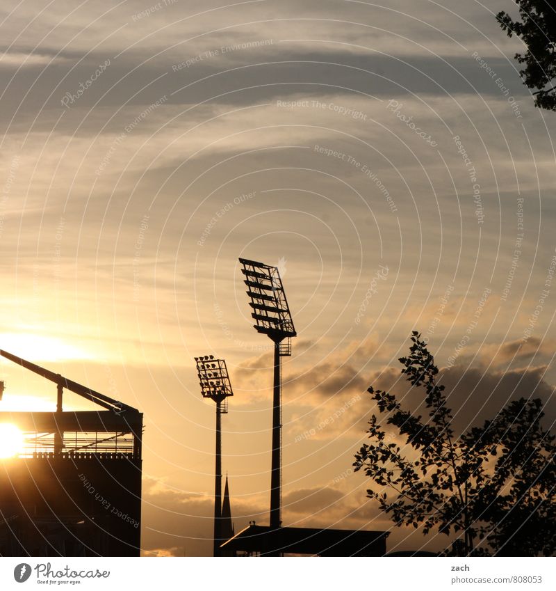 twilight of the gods Sports Ball sports Stands Soccer Sporting Complex Football pitch Stadium Millerntor Floodlight Sky Clouds Tree Blue Black Colour photo